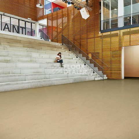 Forbo Marmoleum Decibel on Order 372835 kaolin фото 2 | FLOORDEALER